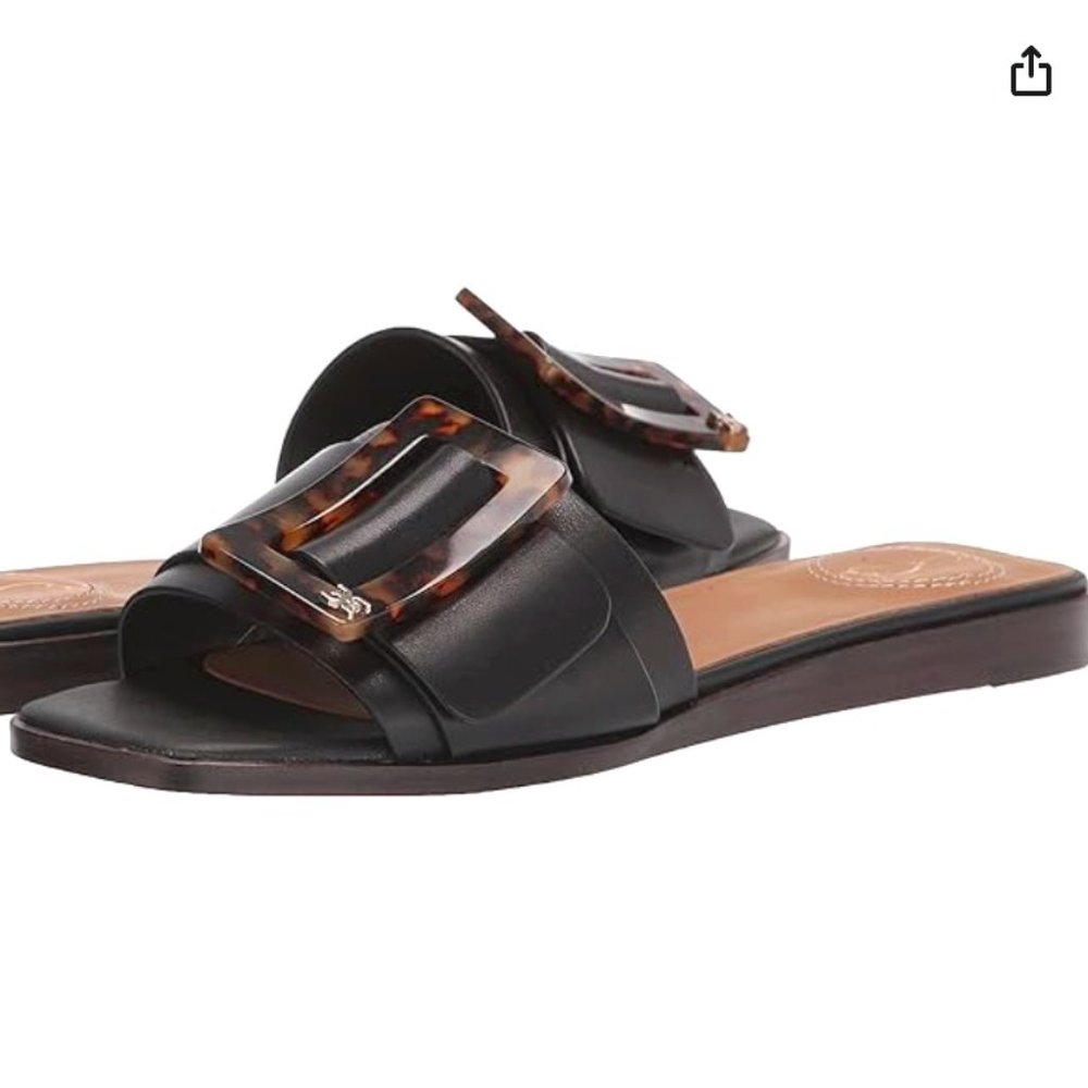 Sam Edelman women's Inez flat sandal in black, size 10